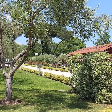 Centro Benigni